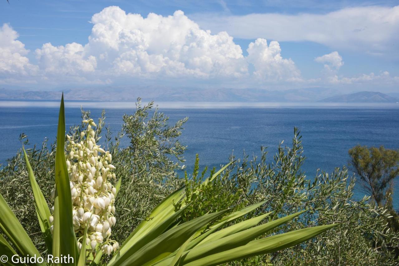 Ionian Sea View Studios By Hotelius Episkopiana  Exterior foto