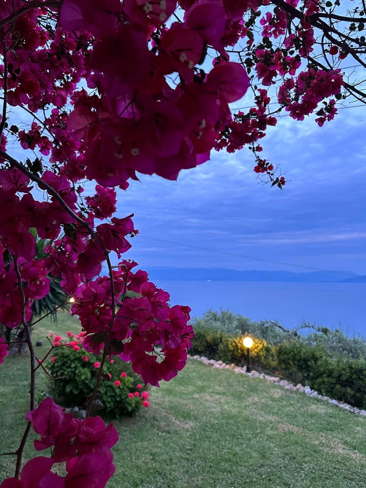 Ionian Sea View Studios By Hotelius Episkopiana  Exterior foto